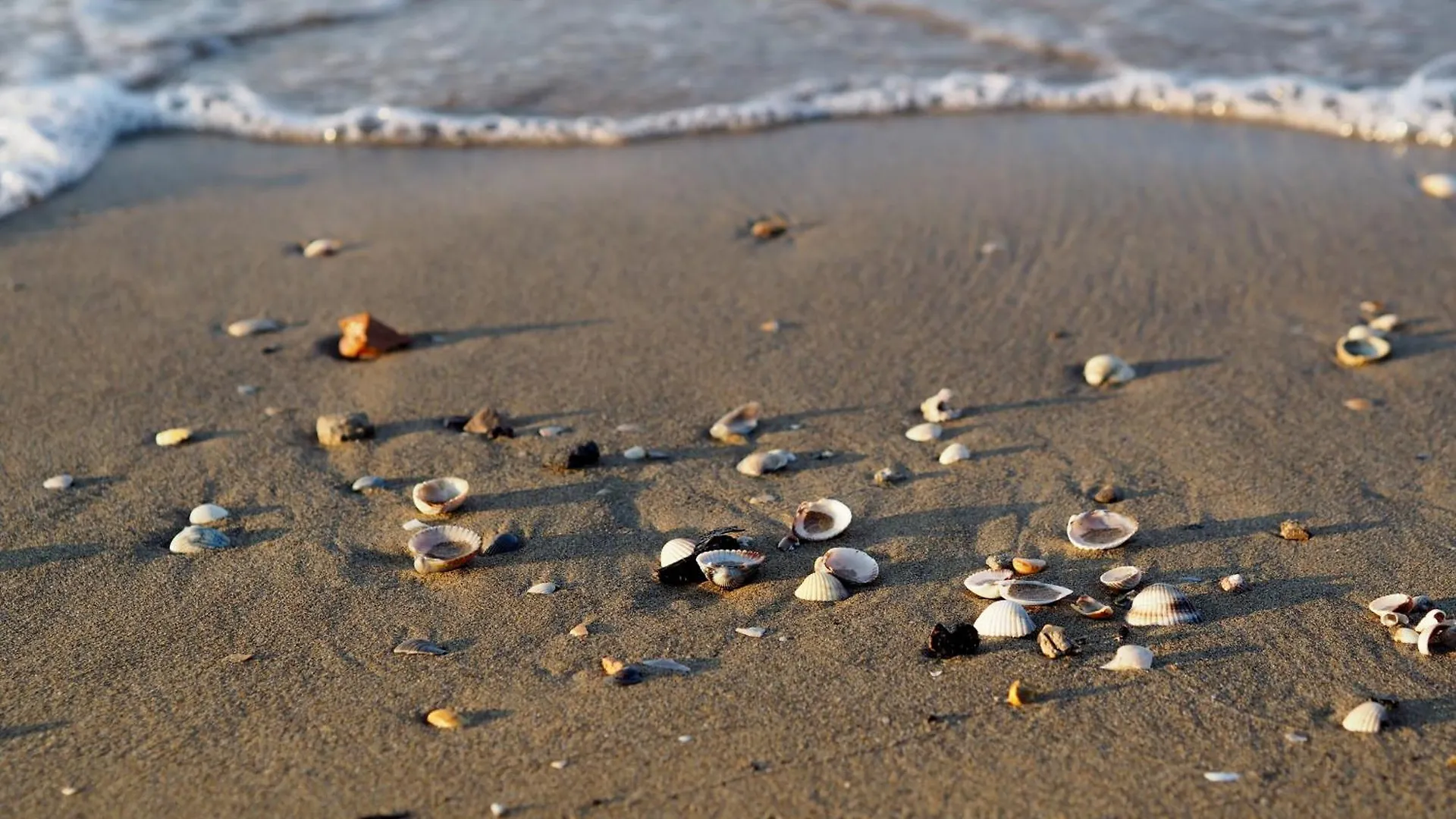 Cozy Apartment With Ac Close To The Sea - Beahost Bibione